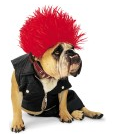 halloween costumes dogs costumes for dogs