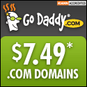godaddy-749domain-6232009gif