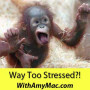 https://www.withamymac.com/news/2011/02/10/stress-reducers/