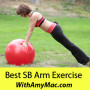 https://www.withamymac.com/news/2011/04/05/stability-ball-arm-exercises/